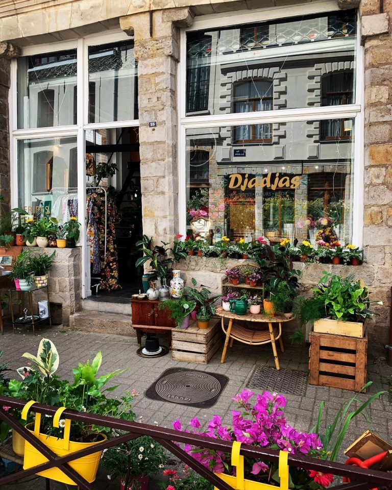 Bienvenue chez les Djadjas, une nouvelle adresse haute en couleurs !