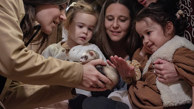 le monde de noé expérience avis