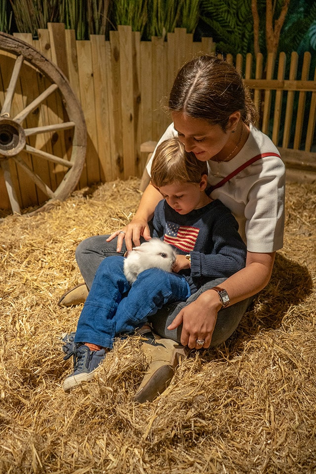 le monde de noé lille